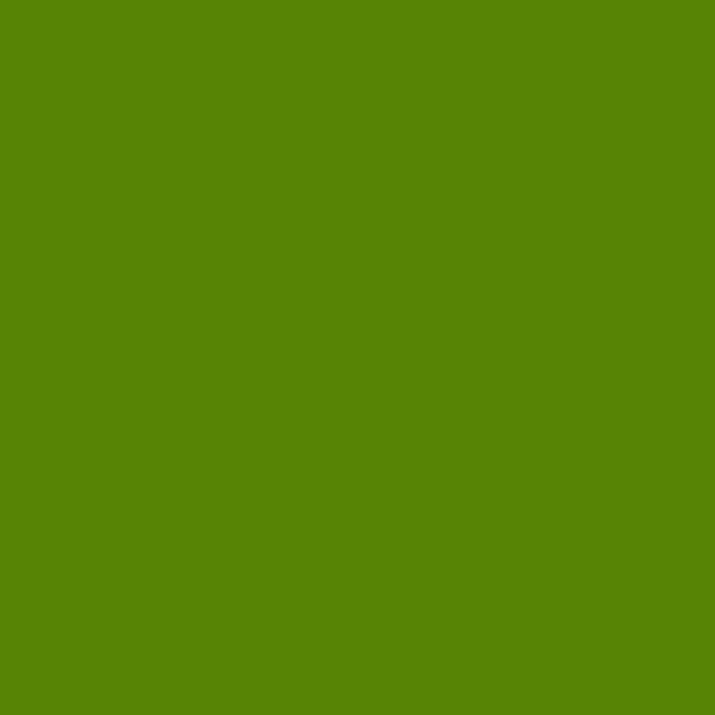 Avocado-background-image.webp